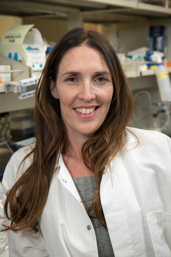 Dr. Pyle Awarded Inaugural Ayoub Centennial Chair Visit the Pyle Lab