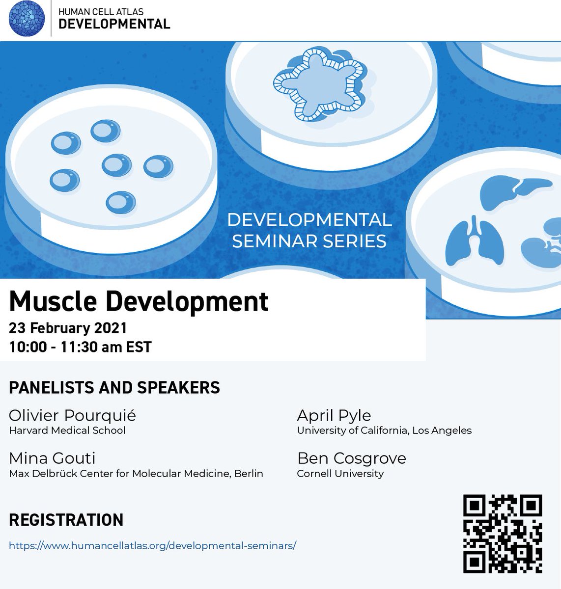 Come join the virtual conversation hosted by the Human Cell Atlas on Human Myogenesis!